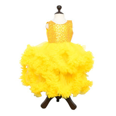 Sequin Floral All Over and Around Ruffles Frock