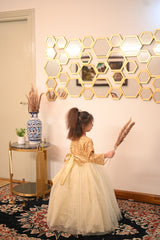 Grace & Glamour β Girls' Gown for Parties, Weddings & More (1β12 Years)