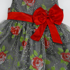 Sleeveless Printed Organza Knee Length Front Bow Pageant Frock