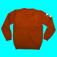 Boys Super Hit Mode 100% Cotton Sweater