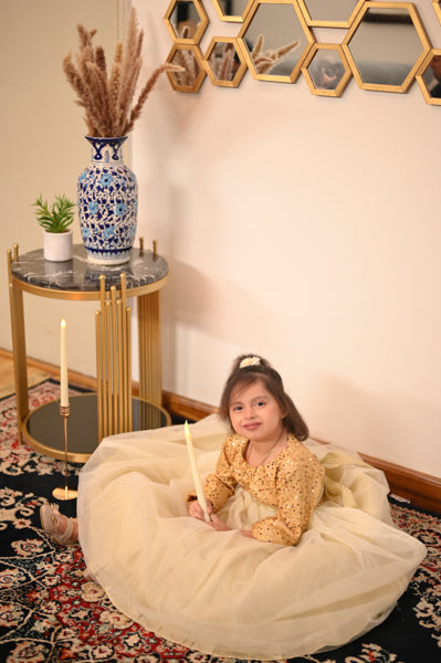 Grace & Glamour – Girls' Gown for Parties, Weddings & More (1–12 Years)