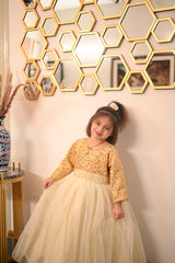 Grace & Glamour – Girls' Gown for Parties, Weddings & More (1–12 Years)