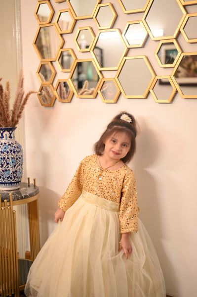 Grace & Glamour – Girls' Gown for Parties, Weddings & More (1–12 Years)